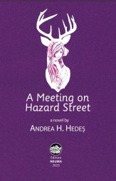A Meeting on Hazard Street,Andrea H. Hedeș